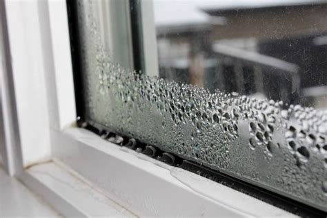 Leaking Window Solutions: Who to Call for Expert Repairs